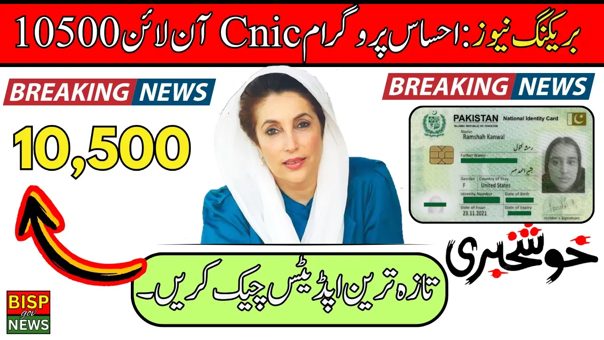 Ehsaas Program Cnic Check Online 10500