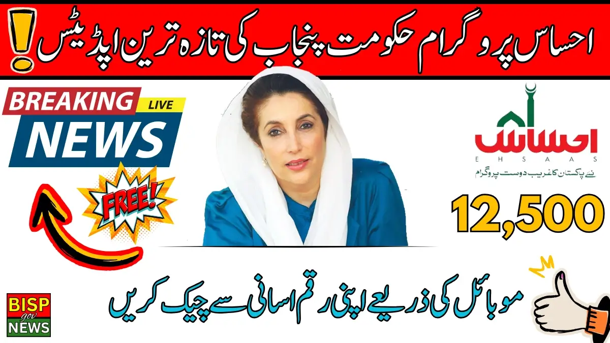 Ehsaas Program Government of Punjab